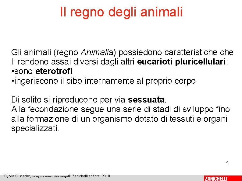 Il regno degli animali Gli animali (regno Animalia) possiedono caratteristiche li rendono assai diversi