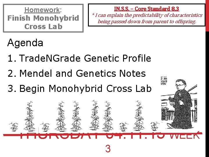 Homework: Finish Monohybrid Cross Lab IN. S. S. – Core Standard 8. 3 *