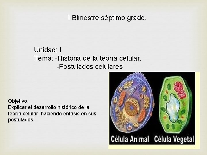 I Bimestre séptimo grado. Unidad: I Tema: -Historia de la teoría celular. -Postulados celulares