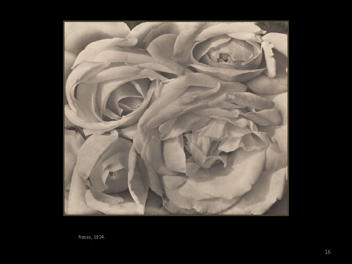 Roses, 1924. 16 