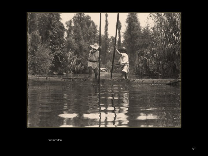 Xochimilco. 84 