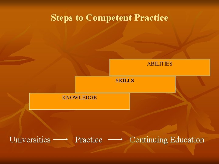Steps to Competent Practice SKILLS KNOWLEDGE Universities Practice Continuing Education 