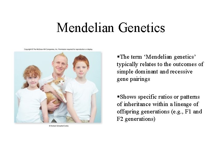 Mendelian Genetics §The term ‘Mendelian genetics’ typically relates to the outcomes of simple dominant