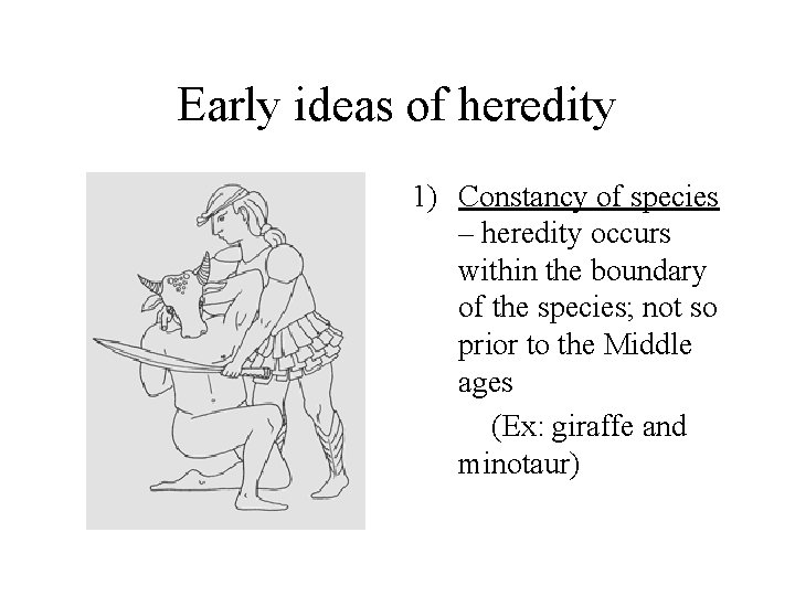 Early ideas of heredity 1) Constancy of species – heredity occurs within the boundary