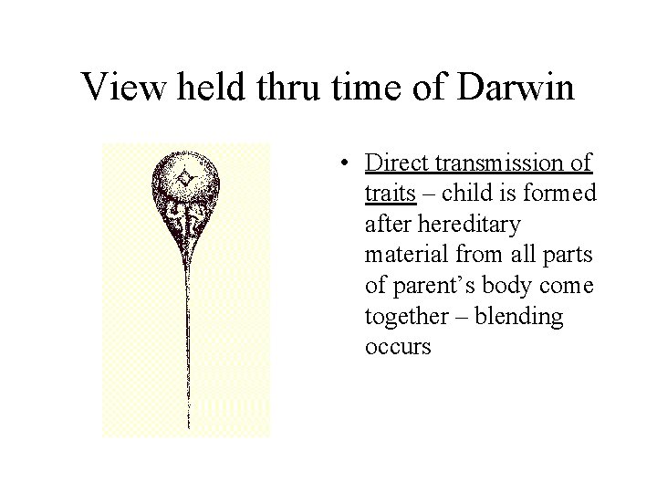 View held thru time of Darwin • Direct transmission of traits – child is