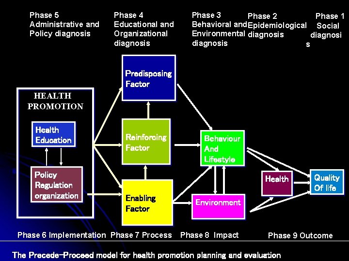 Phase 5 Administrative and Policy diagnosis Phase 4 Educational and Organizational diagnosis Phase 3