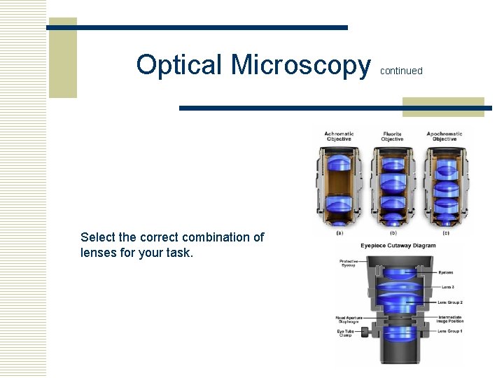 Optical Microscopy Select the correct combination of lenses for your task. continued 