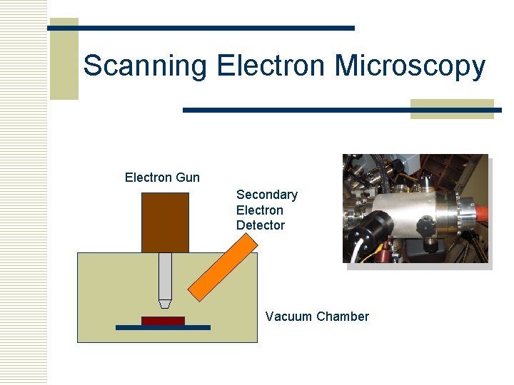 Scanning Electron Microscopy Electron Gun Secondary Electron Detector Vacuum Chamber 