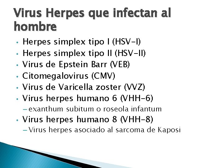 Virus Herpes que infectan al hombre • • • Herpes simplex tipo I (HSV-I)