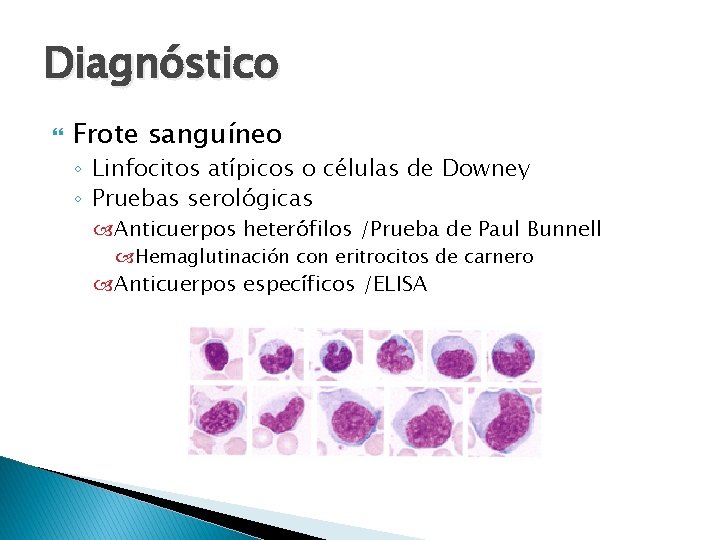 Diagnóstico Frote sanguíneo ◦ Linfocitos atípicos o células de Downey ◦ Pruebas serológicas Anticuerpos