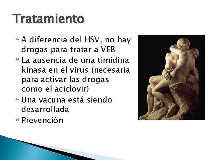 Tratamiento A diferencia del HSV, no hay drogas para tratar a VEB La ausencia