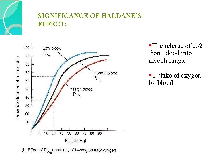 SIGNIFICANCE OF HALDANE’S EFFECT: - §The release of co 2 from blood into alveoli