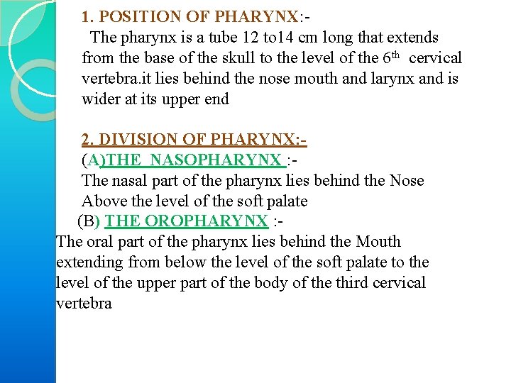1. POSITION OF PHARYNX: The pharynx is a tube 12 to 14 cm long