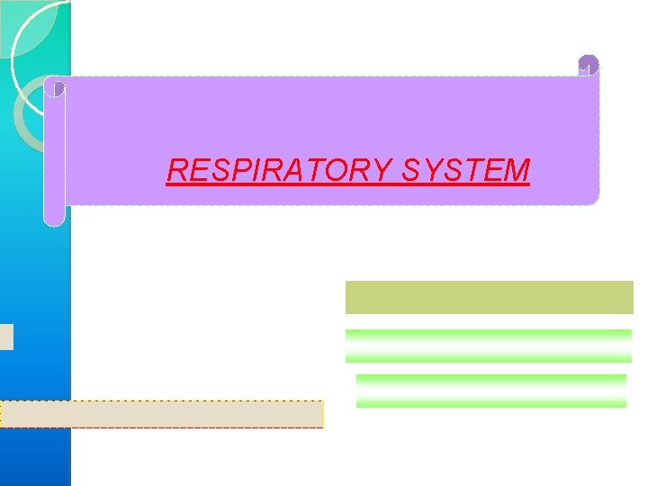 RESPIRATORY SYSTEM 