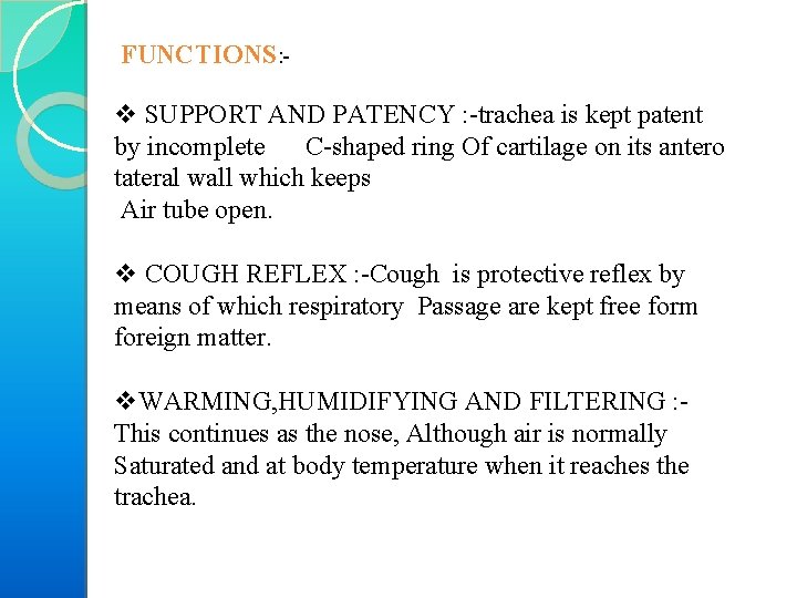 FUNCTIONS: - v SUPPORT AND PATENCY : trachea is kept patent by incomplete C