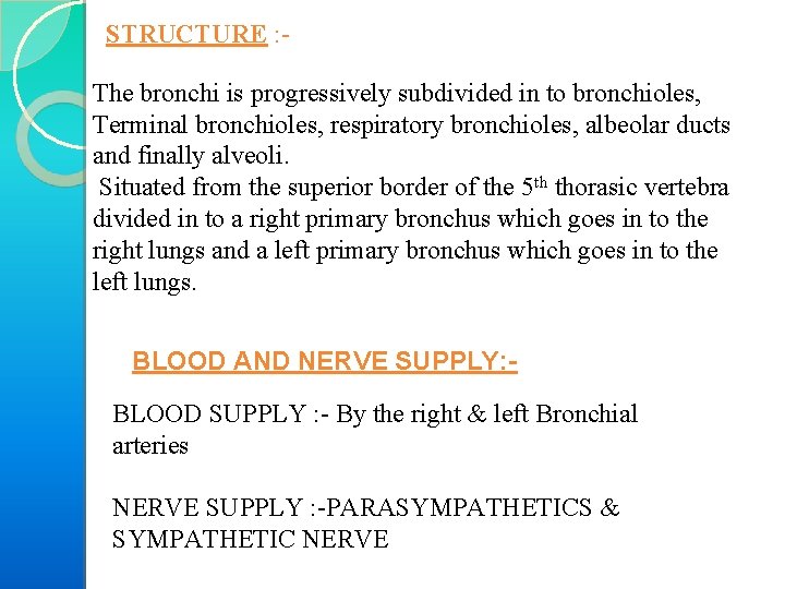STRUCTURE : The bronchi is progressively subdivided in to bronchioles, Terminal bronchioles, respiratory bronchioles,