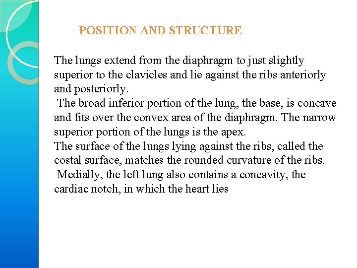 POSITION AND STRUCTURE The lungs extend from the diaphragm to just slightly superior to