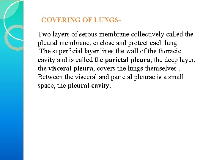 COVERING OF LUNGSTwo layers of serous membrane collectively called the pleural membrane, enclose and