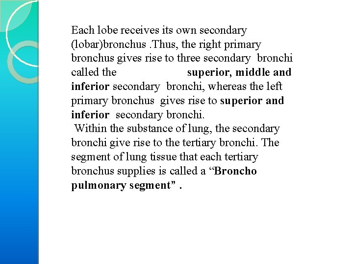 Each lobe receives its own secondary (lobar)bronchus. Thus, the right primary bronchus gives rise