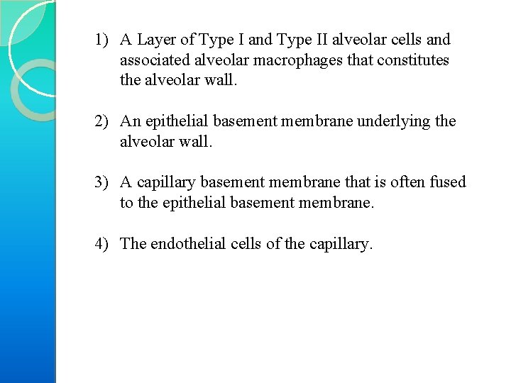 1) A Layer of Type I and Type II alveolar cells and associated alveolar
