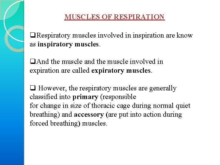 MUSCLES OF RESPIRATION q. Respiratory muscles involved in inspiration are know as inspiratory muscles.