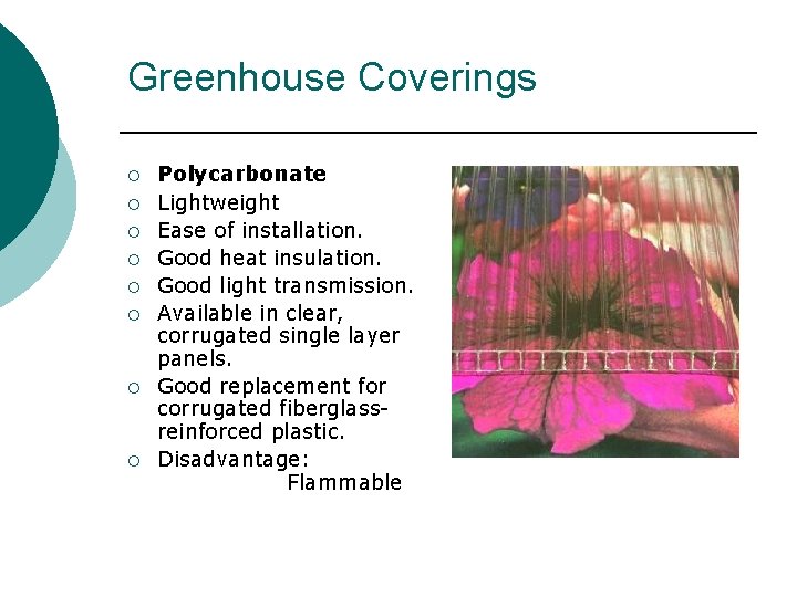 Greenhouse Coverings ¡ ¡ ¡ ¡ Polycarbonate Lightweight Ease of installation. Good heat insulation. Greenhouse Coverings ¡ ¡ ¡ ¡ Polycarbonate Lightweight Ease of installation. Good heat insulation.