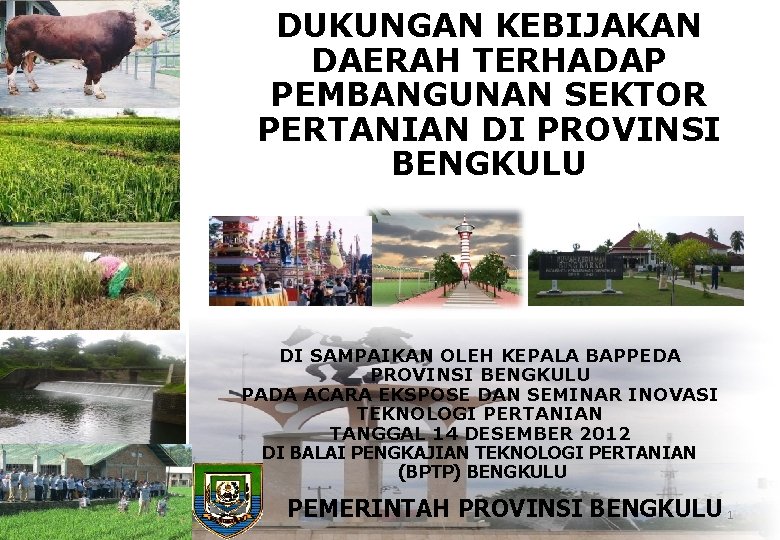 DUKUNGAN KEBIJAKAN DAERAH TERHADAP PEMBANGUNAN SEKTOR PERTANIAN DI PROVINSI BENGKULU DI SAMPAIKAN OLEH KEPALA