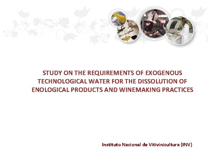 STUDY ON THE REQUIREMENTS OF EXOGENOUS TECHNOLOGICAL WATER FOR THE DISSOLUTION OF ENOLOGICAL PRODUCTS STUDY ON THE REQUIREMENTS OF EXOGENOUS TECHNOLOGICAL WATER FOR THE DISSOLUTION OF ENOLOGICAL PRODUCTS