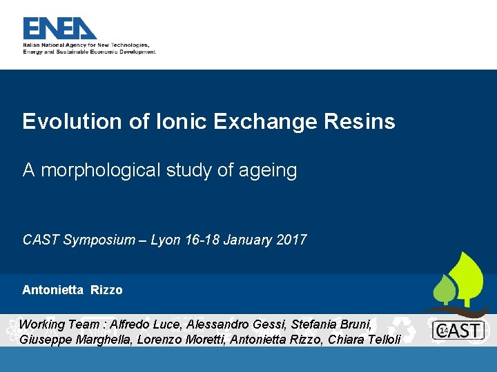 Evolution of Ionic Exchange Resins A morphological study of ageing CAST Symposium – Lyon