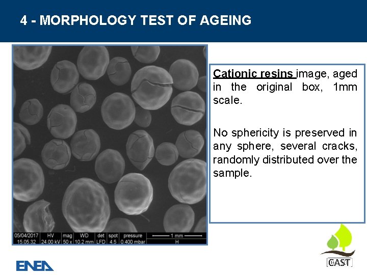 4 - MORPHOLOGY TEST OF AGEING Cationic resins image, aged in the original box,