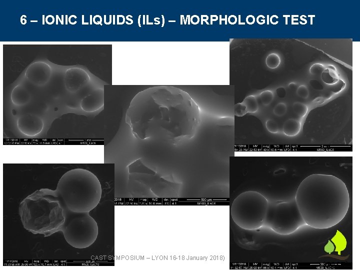 6 – IONIC LIQUIDS (ILs) – MORPHOLOGIC TEST CAST SYMPOSIUM – LYON 16 -18
