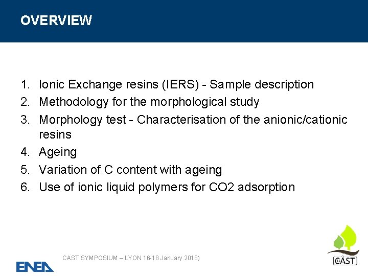 OVERVIEW 1. Ionic Exchange resins (IERS) - Sample description 2. Methodology for the morphological