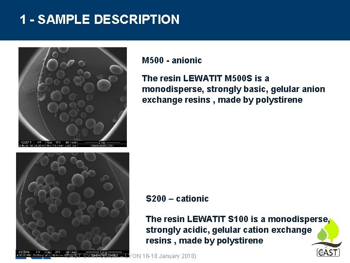 1 - SAMPLE DESCRIPTION M 500 - anionic The resin LEWATIT M 500 S