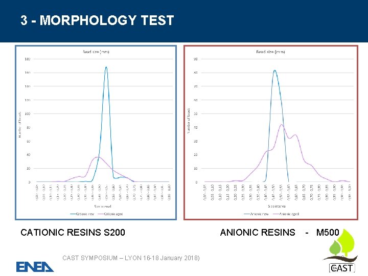 3 - MORPHOLOGY TEST CATIONIC RESINS S 200 CAST SYMPOSIUM – LYON 16 -18