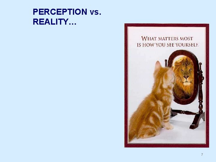 PERCEPTION vs. REALITY… 7 