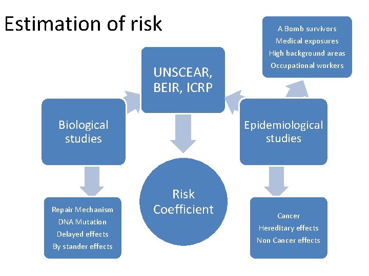 Estimation of risk A Bomb survivors Medical exposures High background areas UNSCEAR, BEIR, ICRP Estimation of risk A Bomb survivors Medical exposures High background areas UNSCEAR, BEIR, ICRP