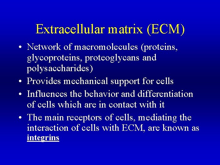 Extracellular matrix (ECM) • Network of macromolecules (proteins, glycoproteins, proteoglycans and polysaccharides) • Provides