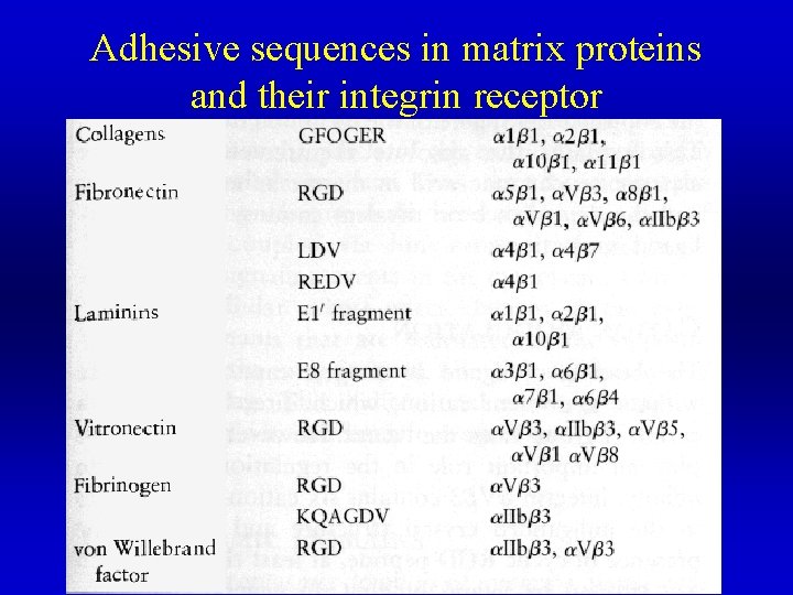 Adhesive sequences in matrix proteins and their integrin receptor 