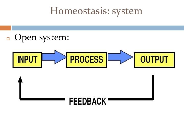 Homeostasis: system Open system: 