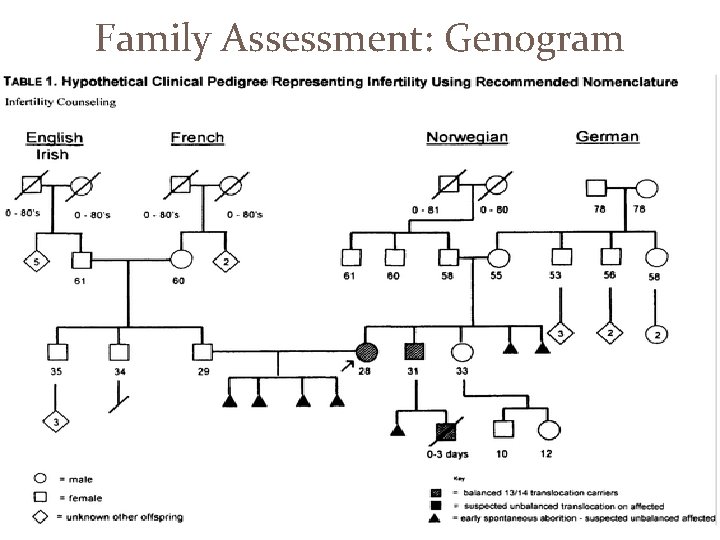 Family Assessment: Genogram 