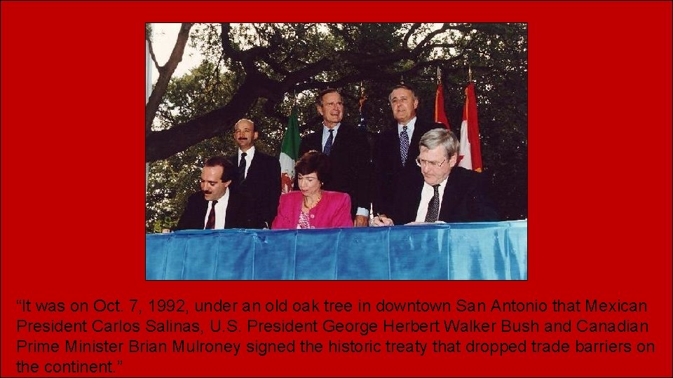 “It was on Oct. 7, 1992, under an old oak tree in downtown San