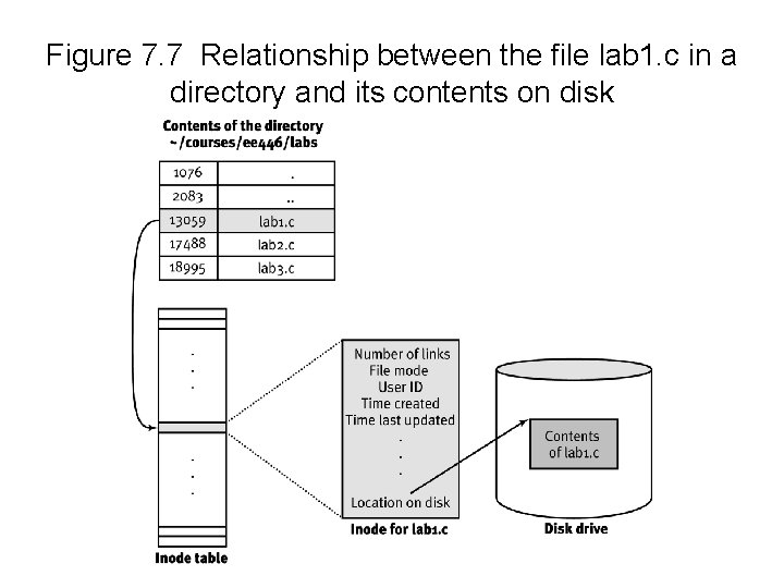 Figure 7. 7 Relationship between the file lab 1. c in a directory and