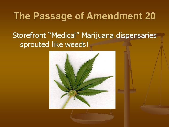 The Passage of Amendment 20 Storefront “Medical” Marijuana dispensaries sprouted like weeds! 