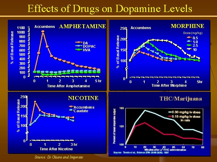 Accumbens 1100 1000 900 800 700 600 500 400 300 200 100 0 %