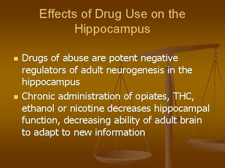 Effects of Drug Use on the Hippocampus n n Drugs of abuse are potent