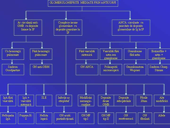 GLOMERULONEFRITE MEDIATE PRIN ANTICORPI Ac circulanţi anti. GMB cu depozite liniare la IF Complexe