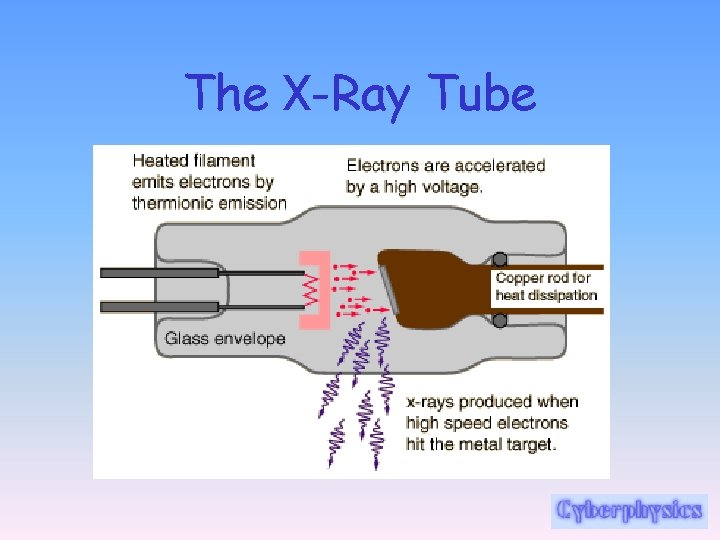 The X-Ray Tube 