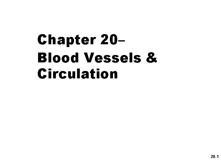 Chapter 20– Blood Vessels & Circulation 20 -1 