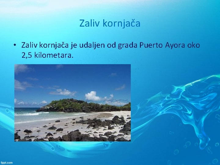 Zaliv kornjača • Zaliv kornjača je udaljen od grada Puerto Ayora oko 2, 5