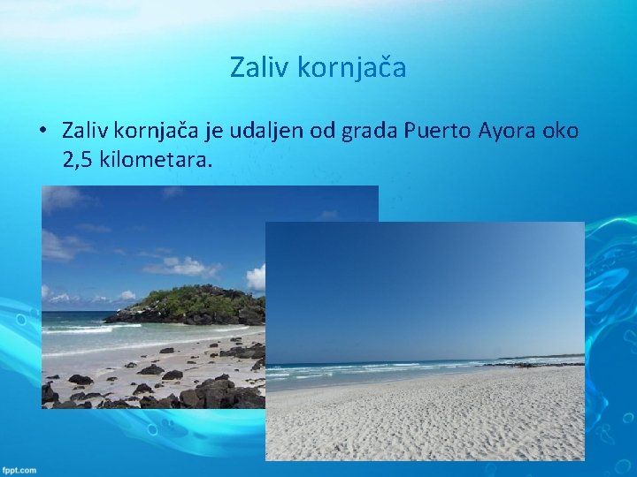 Zaliv kornjača • Zaliv kornjača je udaljen od grada Puerto Ayora oko 2, 5